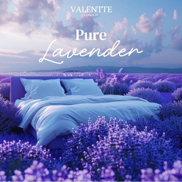Body Wash - Pure Lavender - Image 6