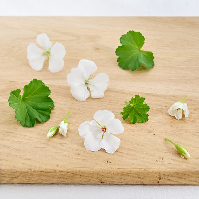 Reed Diffuser - Geranium & Ylang Ylang - Image 4