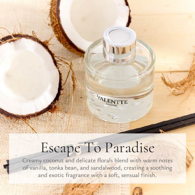 Reed Diffuser - Tropical Coconut Paradise - Image 7