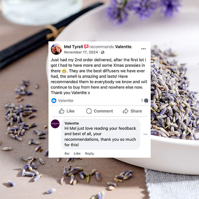 Reed Diffuser - Pure Lavender - Image 5