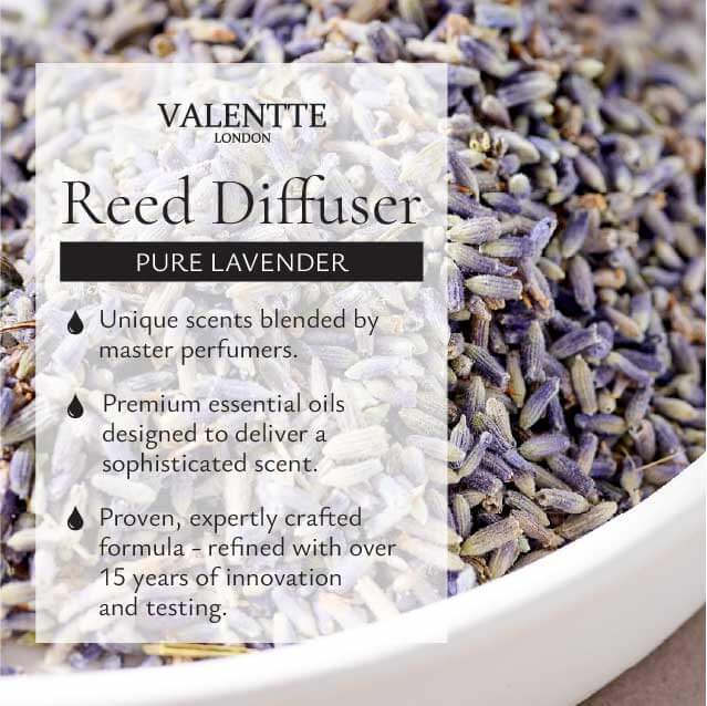Reed Diffuser - Pure Lavender - Image 8