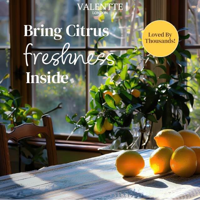 Travel Size Hand Wash - White Neroli & Lemon - Image 2