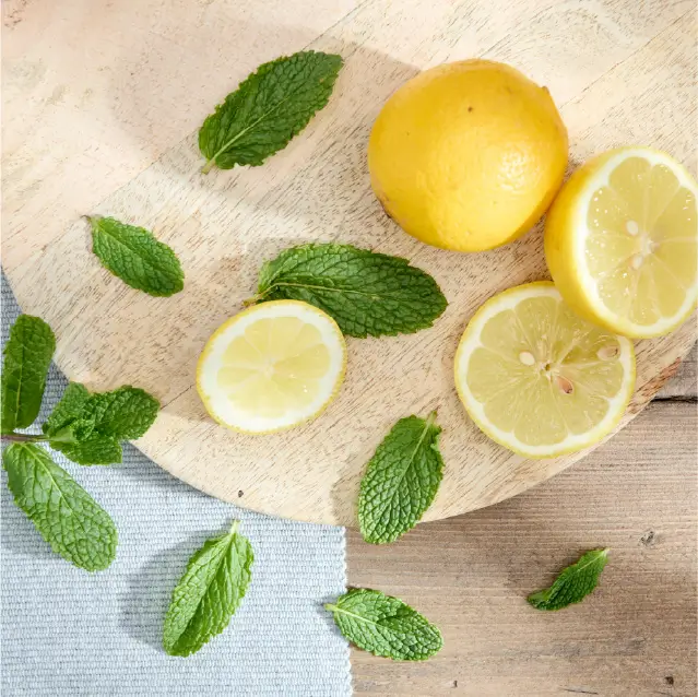 Candle - Wild Mint & Sicilian Lemon - Image 2