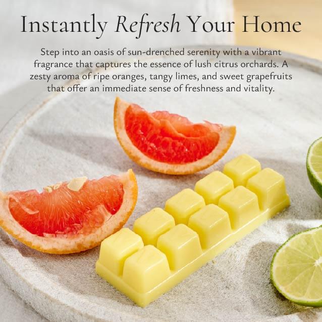 Wax Melt Snap Bar - Citrus Grove - Image 4