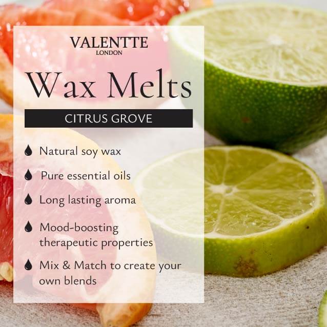 Wax Melt Snap Bar - Citrus Grove - Image 5