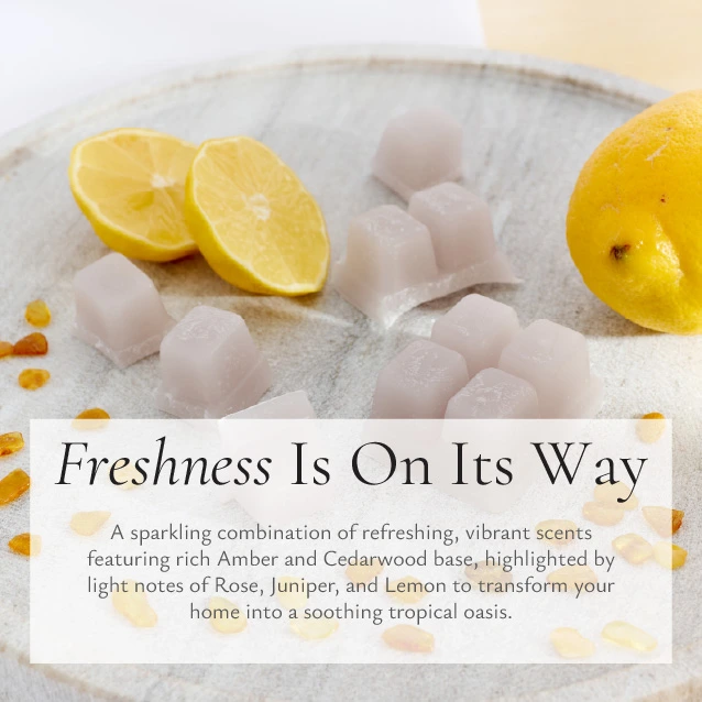 Wax Melt Snap Bar - Mediterranean Lemon & Amber - Image 9