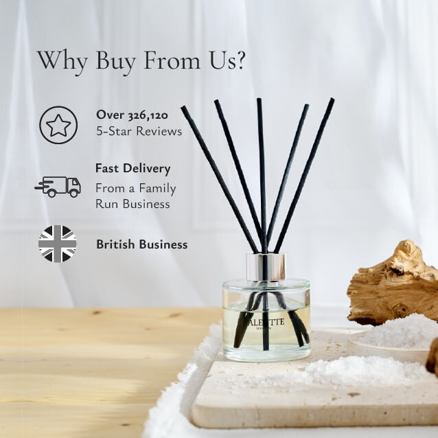 Reed Diffuser -  Sea Salt - Image 3