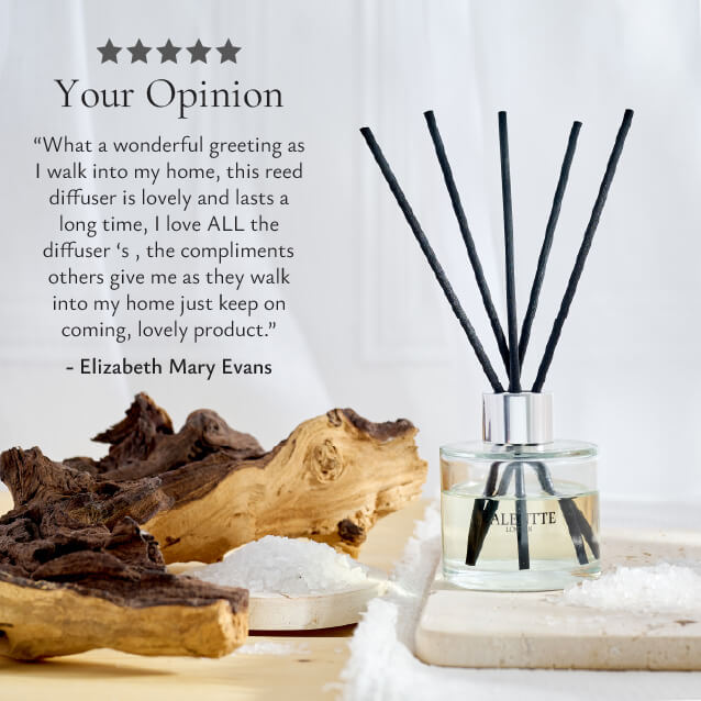 Reed Diffuser -  Sea Salt - Image 7