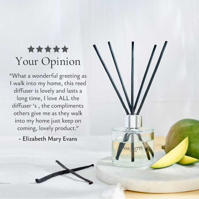 Reed Diffuser -  Mango & Vanilla - Image 5