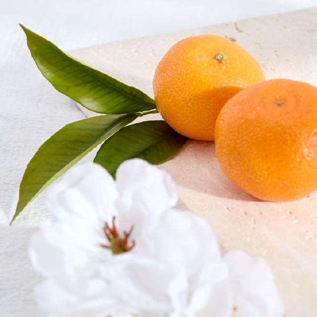 100ml Diffuser Refill - Orange Blossom & Petitgrain - Image 2