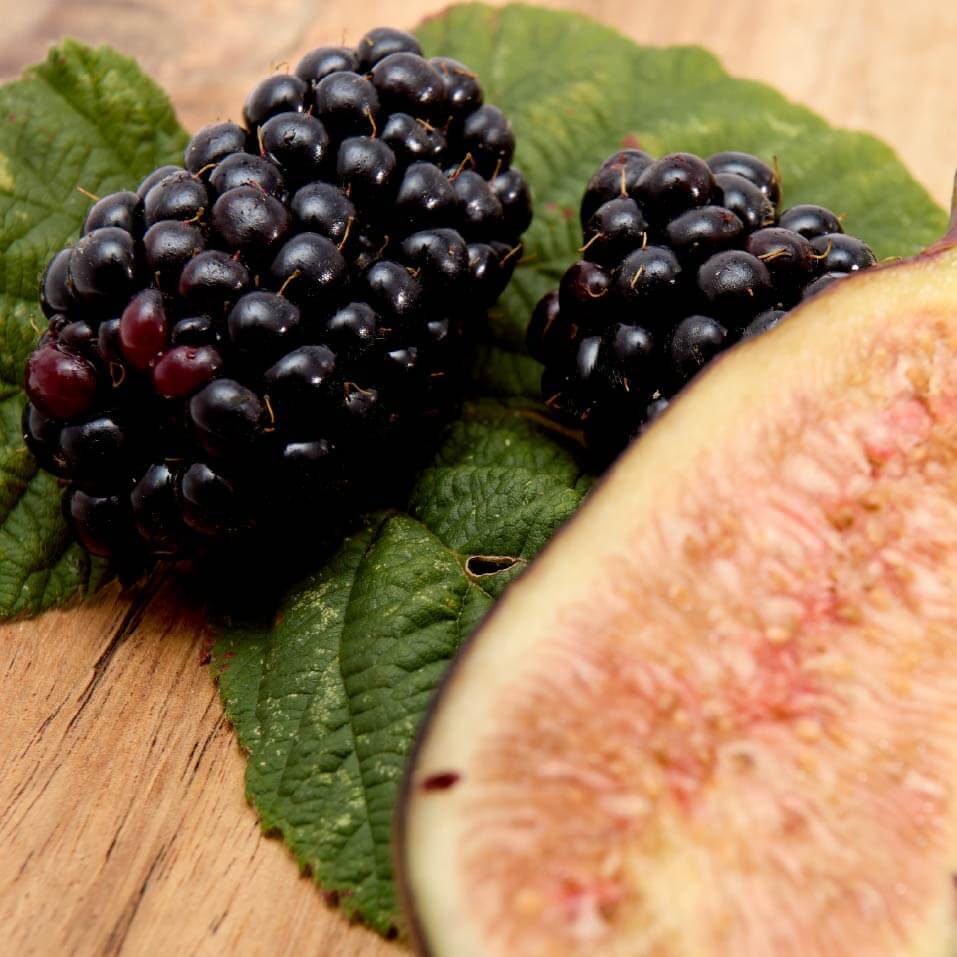 Reed Diffuser -  Wild Berries & Fig - Image 2