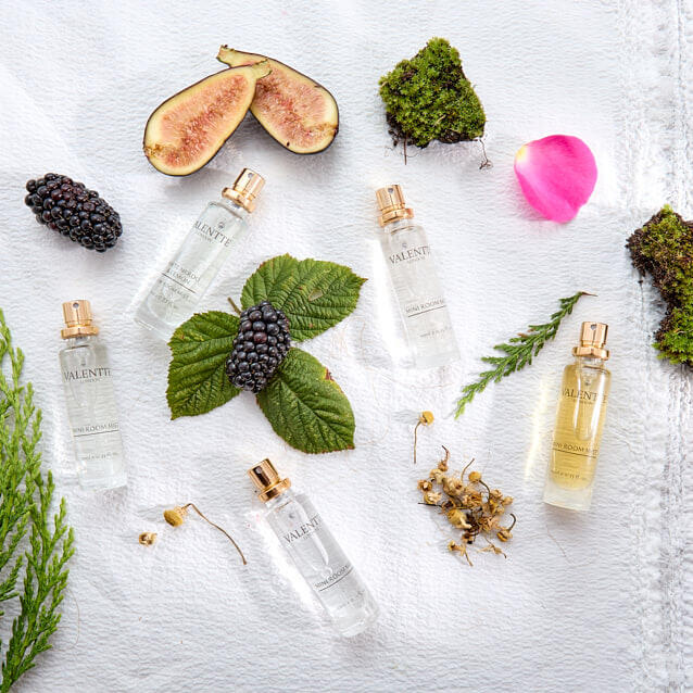 Discovery Scent Sample Set - Autumn Collection - Image 2