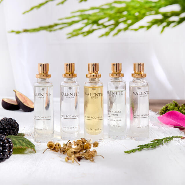 Discovery Scent Sample Set - Autumn Collection - Image 4